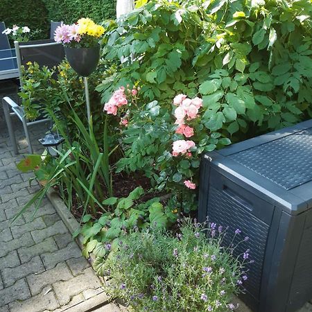 Seidelsferienparadiesgahlenz 外观 照片