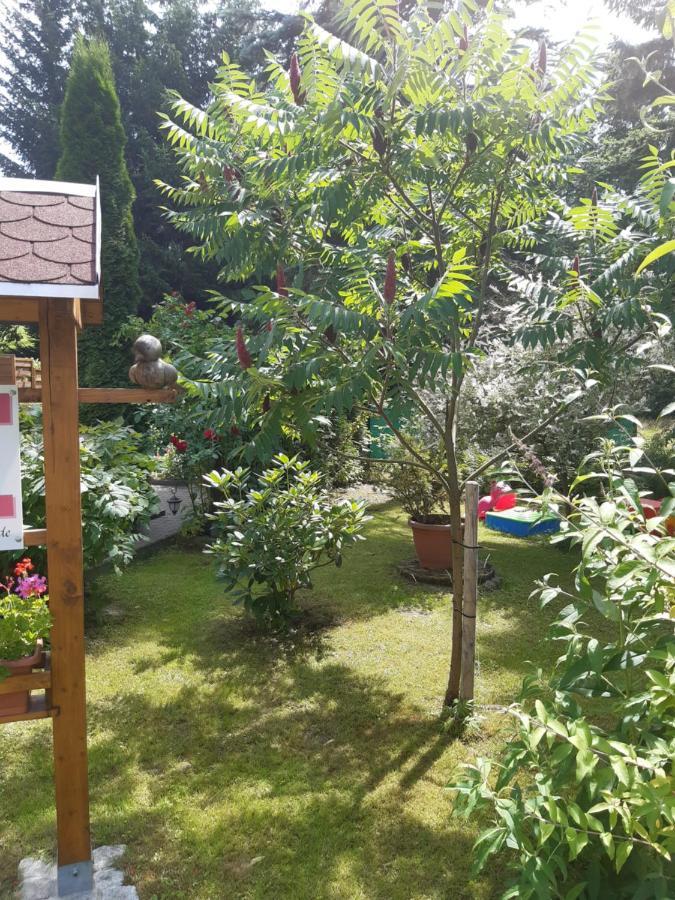 Seidelsferienparadiesgahlenz 外观 照片