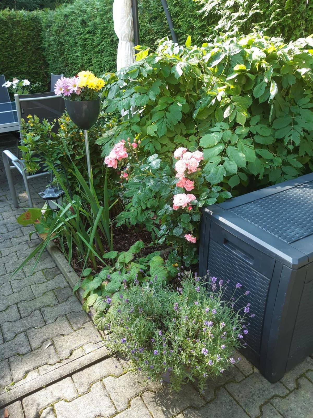 Seidelsferienparadiesgahlenz 外观 照片